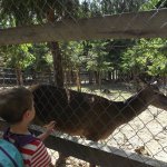 phoca_thumb_m_vp- 1.den  42 Fotogalerie